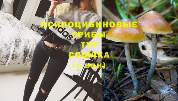 гидра Алексеевка