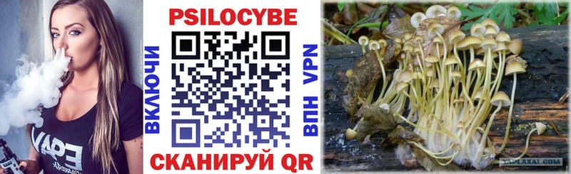 Псилоцибиновые грибы мицелий  купить наркотики цена  OMG как зайти  Артёмовск 